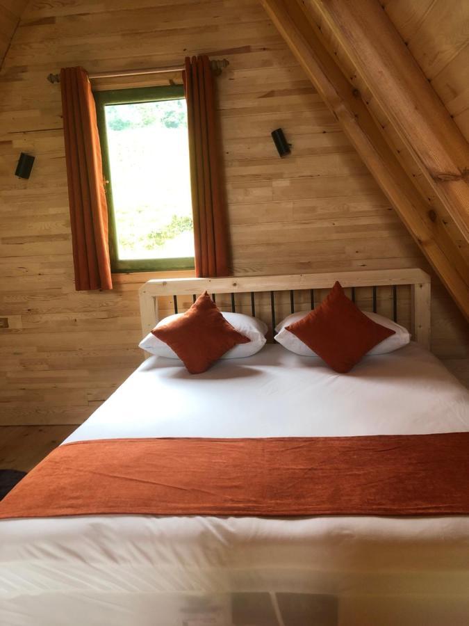 Seni Bungalow Çamlıhemşin Esterno foto