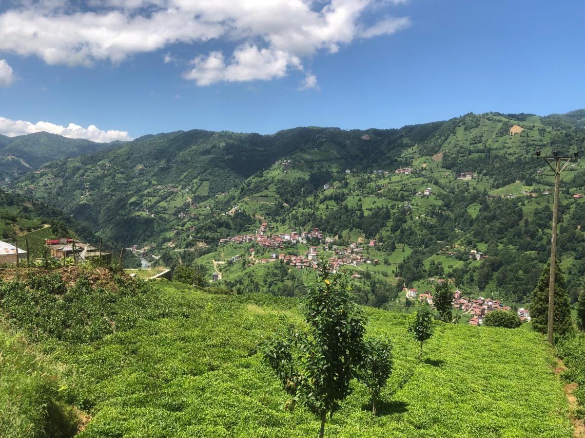 Seni Bungalow Çamlıhemşin Esterno foto