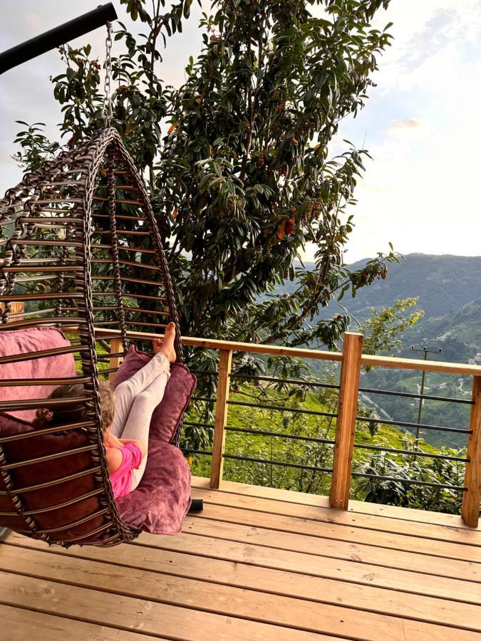 Seni Bungalow Çamlıhemşin Esterno foto