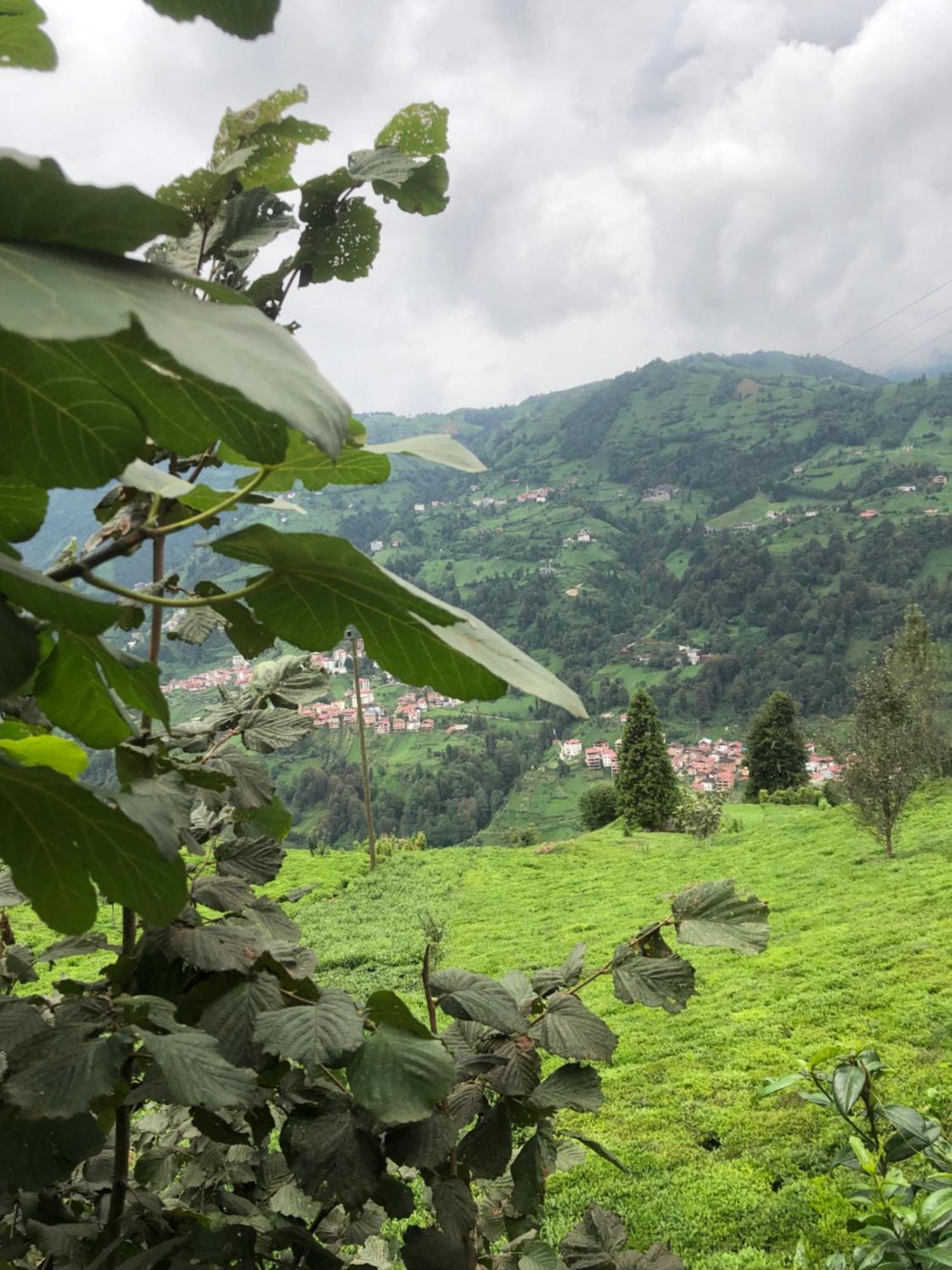 Seni Bungalow Çamlıhemşin Esterno foto